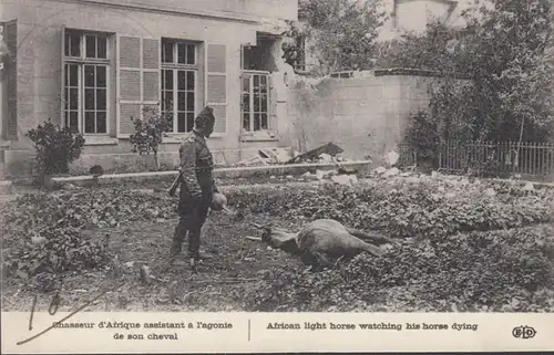 Chaseur d'Afrique assistant à l'agonie de son cheval, Camp Retranché de Paris, Artillerie, non circulaire