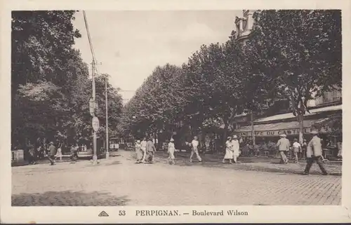 CPA Perpignan, Boulevard Wilson, Grand Café du Castillet, non circulé