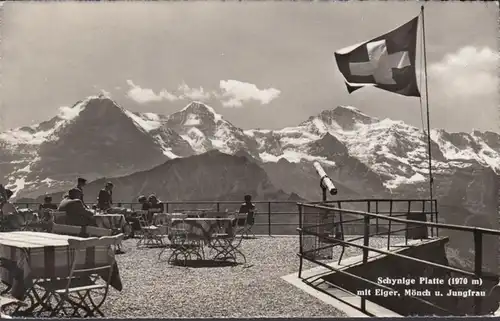 Bern, Schynige Platte mit Eiger, Mönch und Jungfrau, gelaufen 1954