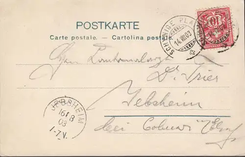 Bern, Schytige Platte, Grindelwaldtal, Wetterhorn et Schreckhorne, couru en 1903