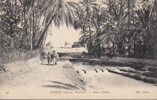 CPA Tozeir, Dans l'Oasis, circulé 1921