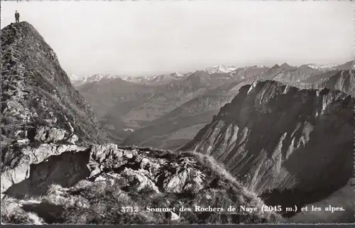 Vaud, Sommet des Rochers de Naye et les Alpes, inachevé