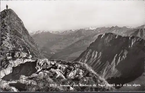 Waadt, Sommet des Rochers de Naye et les alpes, ungelaufen