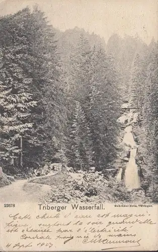 Triberg, cascade de Tri Berg, couru en 1903