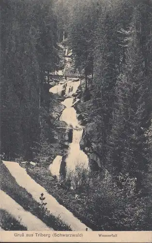 Gruss aus Triberg, Wasserfall, gelaufen 1910