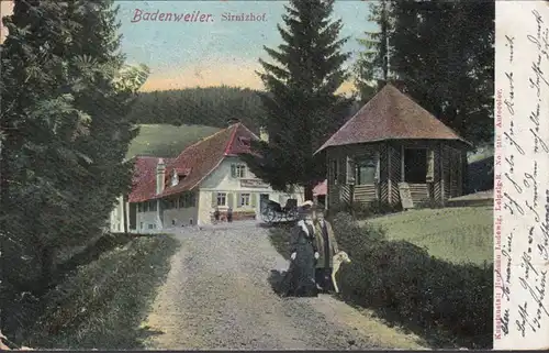 Badenweiler, Sirnizhof, gelaufen