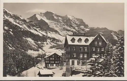 Berne, Wengen, Hôtel Alpenruhe, Jungfraugebiet, inachevé