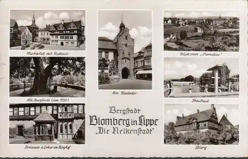 Blomberg à Lippe, La ville des œillets, Multi-image, couru