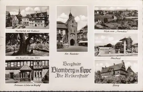 Blomberg in Lippe, Die Nelkenstadt, Mehrbild, gelaufen