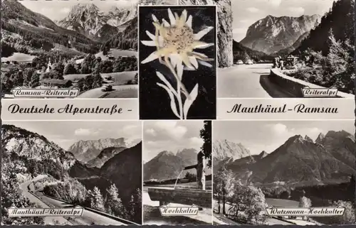 Route alpin allemande, Mauthäusl, Reiteralpe, Haut-Kalter, Edelweiss authentique, Multi-image, incurvée