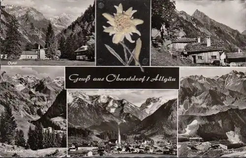 Gruß aus Oberstdorf, Echter Edelweiß, Mehrbild, gelaufen 1959