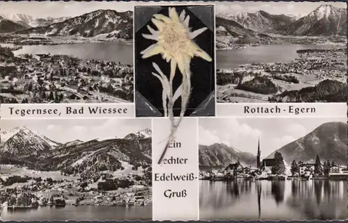 Tegernsee, Bad Wiessee, Rottach, Ein echter Edelweiß Gruß, Mehrbild, ungelaufen- datiert 1958