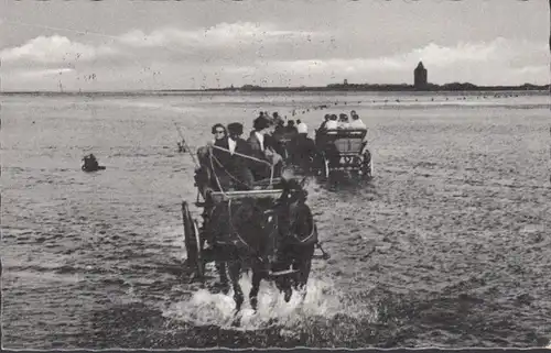 Mer du Nord-Bad Cuxhaven, Wattsweg vers Neuwerk, couru en 1957