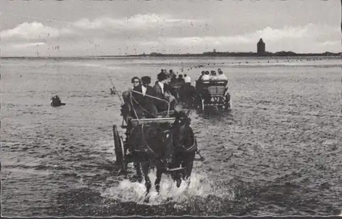 Nordseebad Cuxhaven, Wattfahrt nach Neuwerk, gelaufen  1957