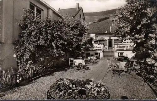 Zell, Hôtel Weinhaus, Chat Noir, incurable