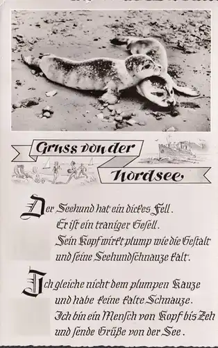 Wangerooge, Gruss von der Nordsee, Der Seehund hat ein dickes Fell, ungelaufen