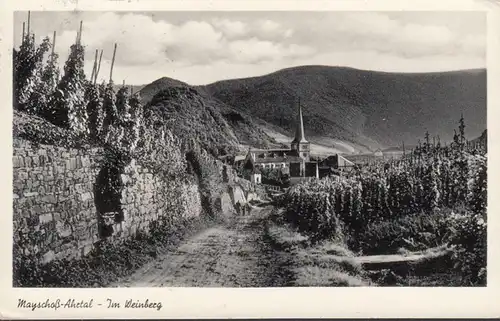 Mayschoss, dans le vignoble, couru en 1961