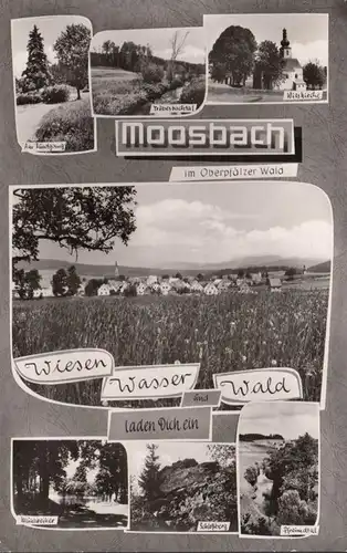 Moosbach, prairies, eaux, forêt, Wieskirche, vallée de Tröbesbach. Vue de la ville, Schlossberg, couru 1966