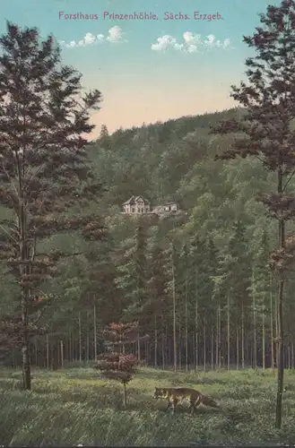 Hartenstein, Forsthaus Prinzenhöhle, ungelaufen