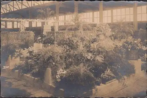 Hambourg Altona, exposition horticole, fleuriste, courue 1925