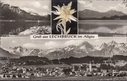 Salutation de Lechbruck, Véritable Edelweiss, Multi-image, incurvée