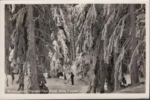 Altenfeld, terrain de sports d'hiver, fontaine froide, couru 195 ?