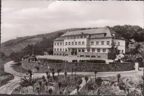 Rüdesheim a.Rhein, Jugendherberge, gelaufen 1960