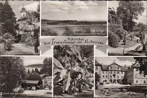 Litzelstetten, Insel Mainau, Kirche, Schloß, Gesamtansicht, gelaufen 1955