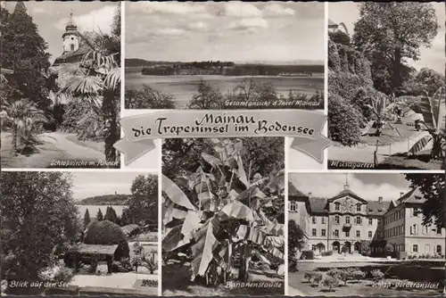 Litzelstetten, île de Mainau, église, château, vue d'ensemble, couru 1955