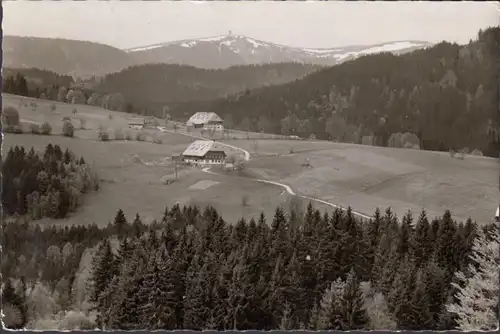 Hinterzarten, Feldbergblick, couru en 1965