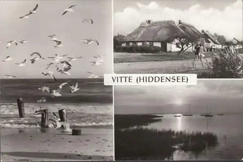 Vitte, Hiddensee, Mehrbild, ungelaufen