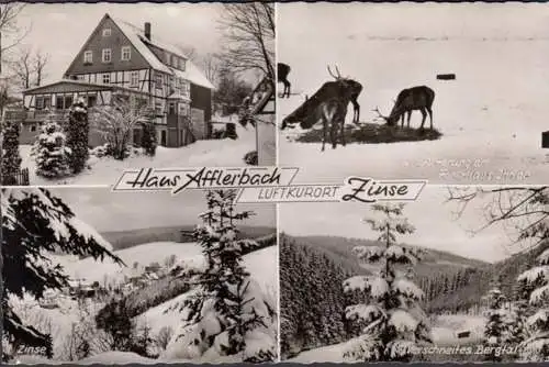 AK Zinse, Haus Afflerbach, Wildtierfütterung Forsthaus Ihrige, Bergtal, gelaufen 1959