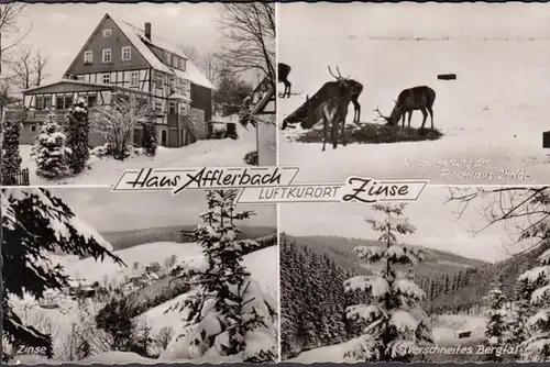 Zinse, Haus Afflerbach, gelaufen 1959