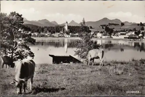 Lechbruck am See, Stadtansicht mit See, gelaufen 1970