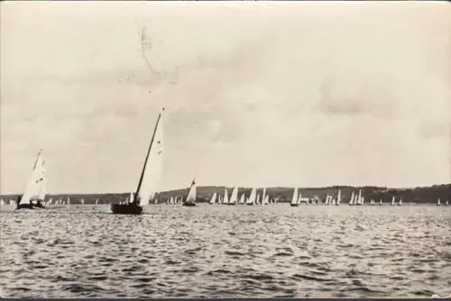 Bad Saarow, Segelregatta, gelaufen