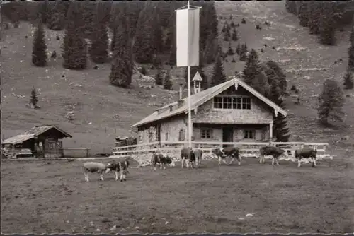 Kreuth, Alm de Cannelle Noire, incurvée