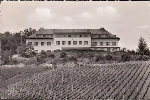 Rüdesheim a. Rhein, Jugendherberge, gelaufen 1958