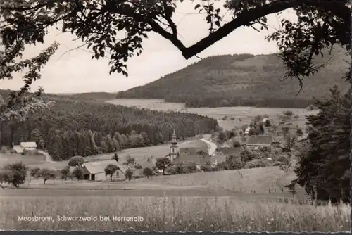 Moosbronn, Stadtansicht, Gasthaus Strauss, gelaufen 1959