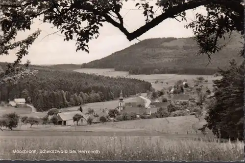 Moosbronn, vue sur la ville, auberge Strauss, couru 1959