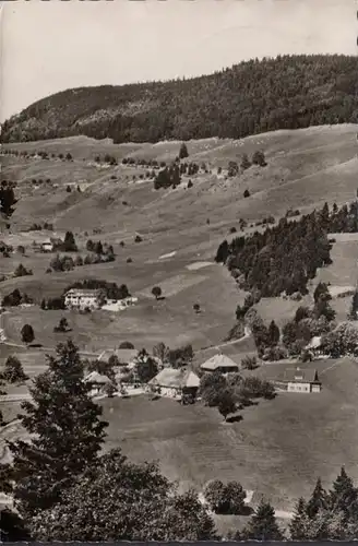 Todtmoos, Stadtansicht, Gasthof und Pension Rössle, gelaufen 1959