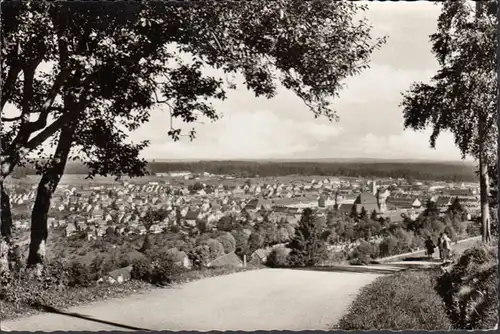 Ville de joie, vue du Kienberg, incurvée