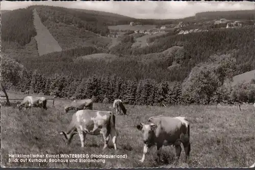 Winterberg, Blick auf Kurhaus, Bobhaus und Slalomhang, ungelaufen