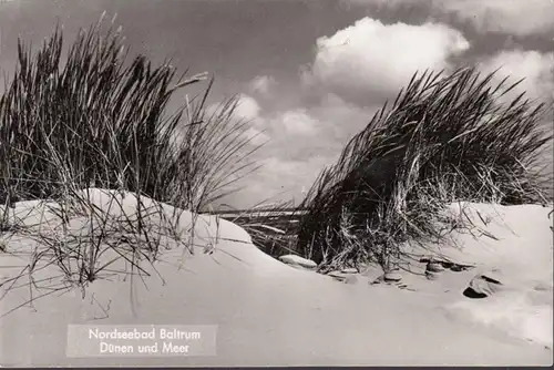 Bain de mer du Nord Baltrum, dunes et mer, couru 1962