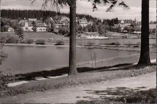 Hahnenklee-Bockswiese, Kurteich et Irenenenquelle, couru 1962