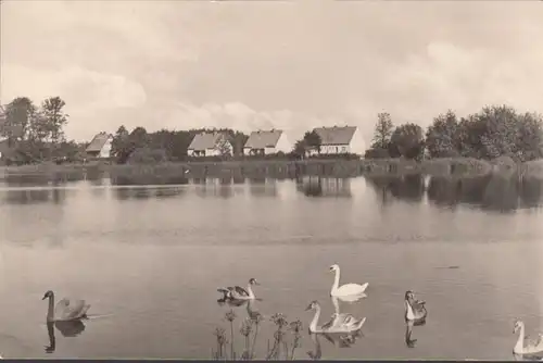 Satow, près du lac du village, couru en 1966