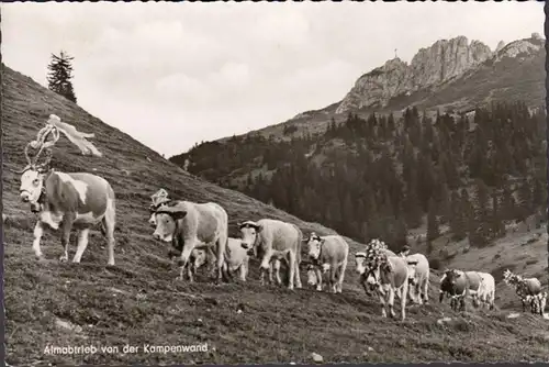 Almabtrieb von der Kampenwand, ungelaufen