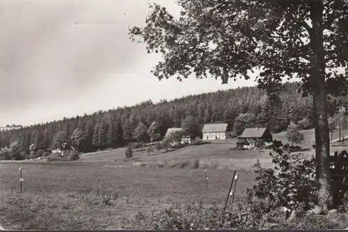 Hermsdorf Erzgeb. Häuser am Wald, gelaufen