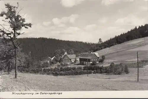 Hirschsprung im Osterzgebirge, ungelaufen