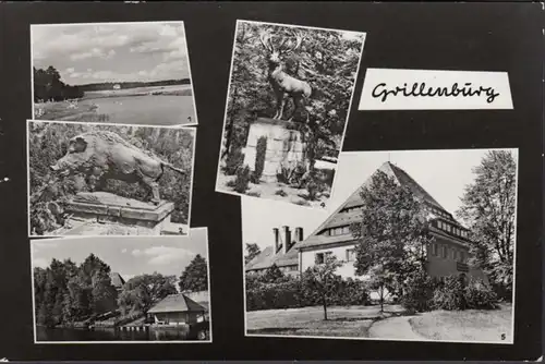 Grillenburg, Wildschwein, Gondelteich, Kurheim, gelaufen 1987