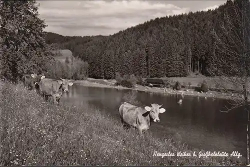 Großholzleute, Hengerles Weiher, ungelaufen